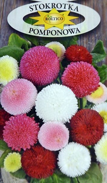 Pomponziedu mārpuķīte Stokrotka Pomponowa MIX 0.1 g Roltico