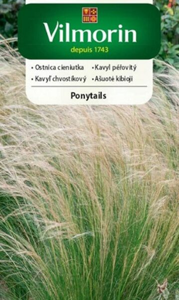 Stepjulīga tievā PONYTAILS 100 mg Vilmorin