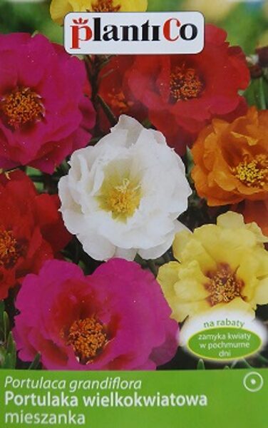 Lielziedu portulaka 0.5 g MIX PlantiCo