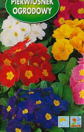 Bezstubļa primulas MIX 500 mg Polan
