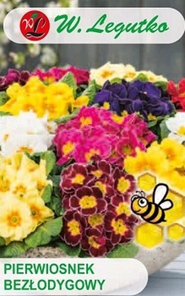 Bezstubļa primulas MIX 0.1 g W.Legutko