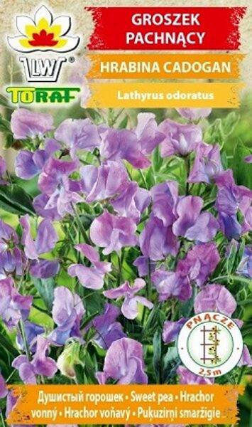  Puķuzirņi smaržīgie Hrabina Cadogan 1 g TORAF