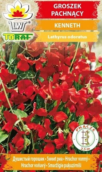  Puķuzirņi smaržīgie Kenneth 1 g TORAF