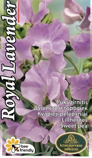 Puķuzirņi smaržīgie ROYAL Lavender 1 g Kurzemes sēklas
