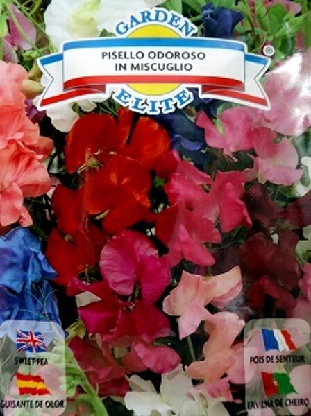 Puķuzirņi smaržīgie MIX 3.5 g Galassi Sementi