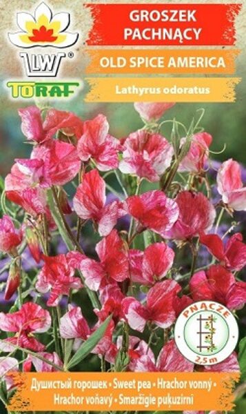  Puķuzirņi smaržīgie Old Spice America 1 g TORAF