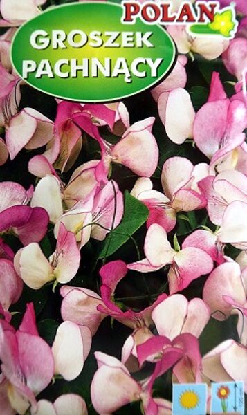 Puķuzirņi smaržīgie Pansy Lavender Flush 2 g Polan