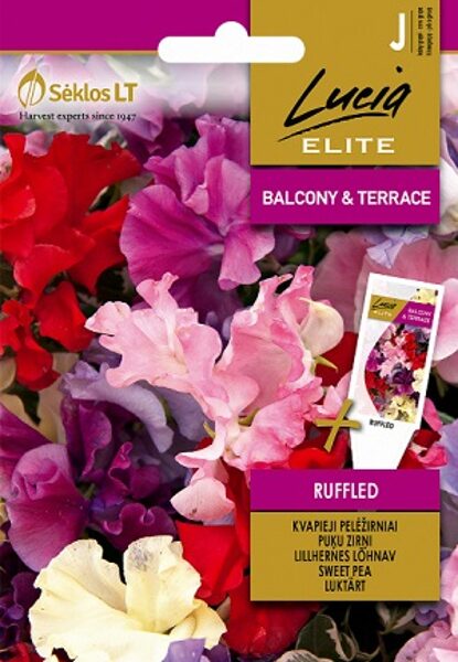  PUĶUZIRŅI RUFFLED 2 g Sėklos LT  (Lucia ELITE)