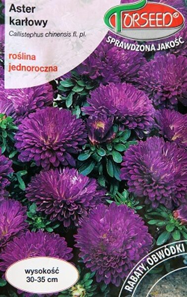 Pundurasteres ķīnas zilganvioletas 0.5 g Torseed