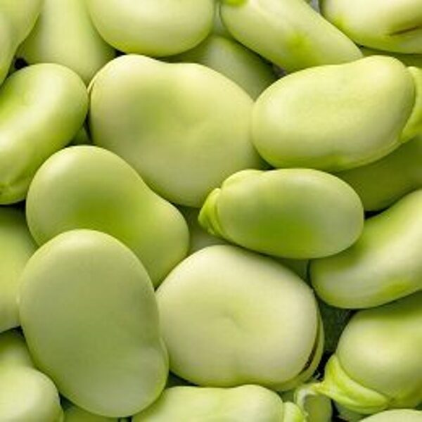 Pupas dārza BARTEK 1000 g Spojnia