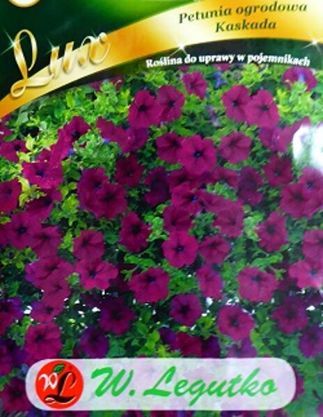 Petūnijas nokarenās Kaskada purpura  0.02 W.Legutko
