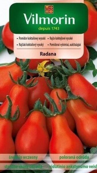 Tomāti Radana 300 mg Vilmorin