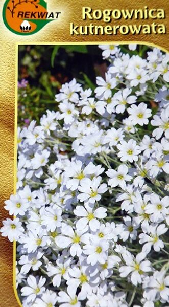 Radzenes Bīberšteina Rogownica kutnerowata  0.5 g Rekwiat