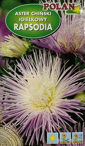 Asteres ķīnas adatainās RAPSODIA 1 g POLAN