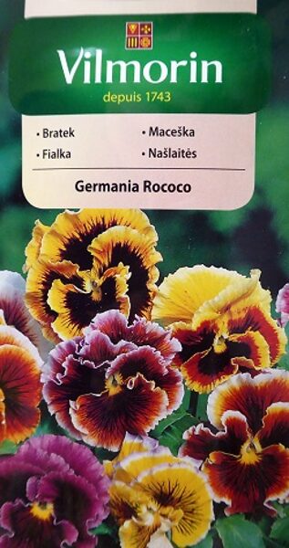 Lielziedu atraitnītes GERMANIA ROCOCO 0.4 g Vilmorin