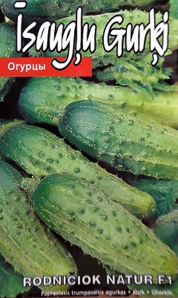 Īsaugļu gurķi Rodničiok natur  1 g Kurzemes Sēklas