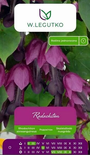 Asinssarkanais rodohitons 6 gab W.Legutko