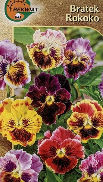 Lielziedu atraitnītes ROKOKO 0.3 g Rekwiat