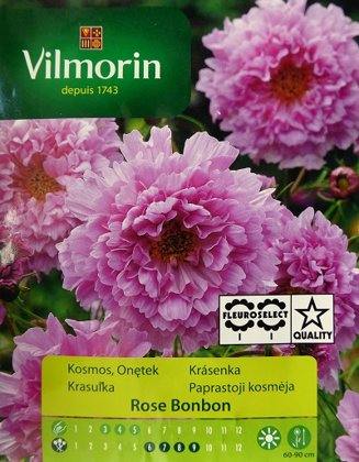 Divplūksnu kosmejas Rose Bonbon 500 mg Vilmorin 