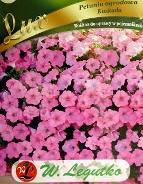 Petūnijas nokarenās Kaskada rozā  0.02 W.Legutko