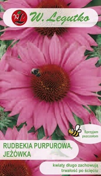 Purpursarkanā ehinācija 1  g W.Legutko