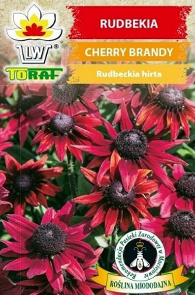 Pūkainā rudbekija Cherry Brandy 0.1 TORAF