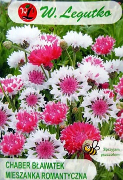 Rudzupuķes rozā MIX Classic Romantic 1 g W.Legutko