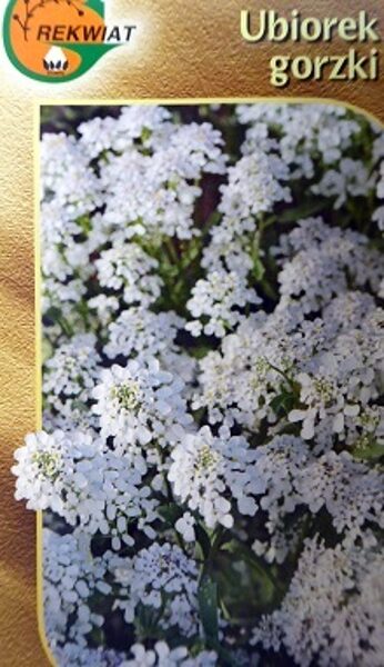 Ibēre rūgtā balta 1 g Rekwiat