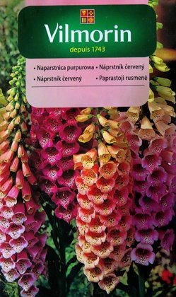 Purpursarkanā uzpirkstīte MIX 1 g Vilmorin