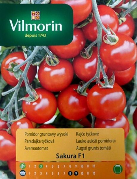 Tomāti SAKURA F1 9 gab (P) Vilmorin 