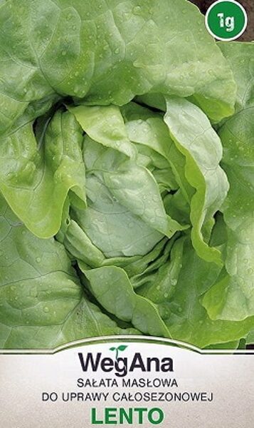 Salāti galviņu Lento 1 g WegAna