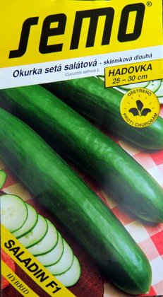 Gurķi SALADIN F1 10 gab Semo