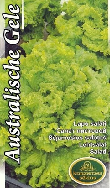 Salāti Australische Gele 2 g Kurzemes Sēklas