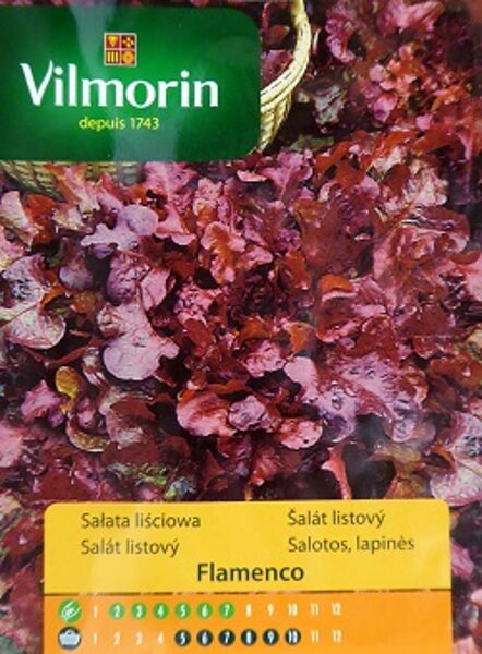 Salāti lapu Flamenco 200 mg Vilmorin