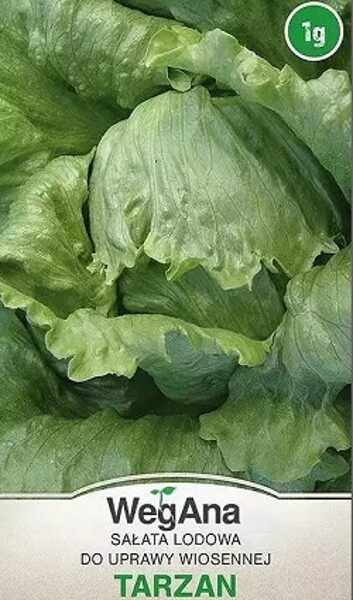 Salāti ledus TARZAN 1 g WegAna