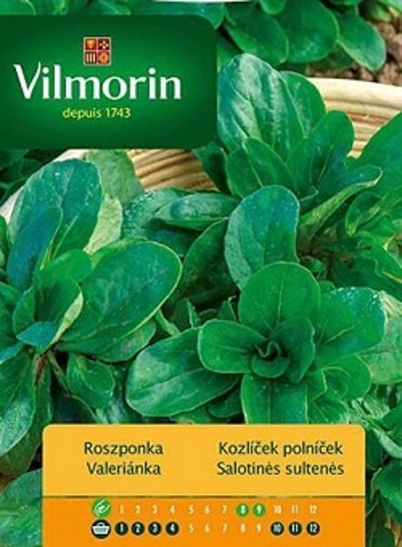 Salātu baldriņš (Lauka salāti) 500 mg Vilmorin