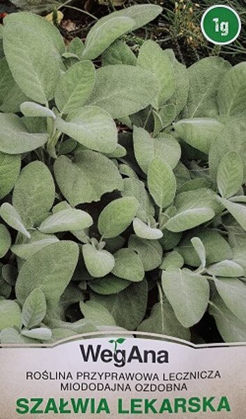 Salvija ārstniecības 1 g WegAna