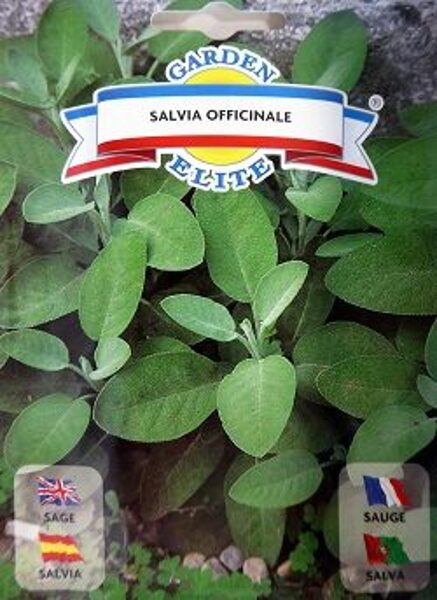 Salvija ārstniecības 1 g Galassi Sementi 