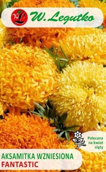 Samtenes lielziedu augstās FANTASTIC MIX 0.4 g W.Legutko