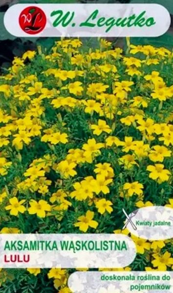   Samtenes zemās sīklapu LULU 300 mg  W.Legutko A.P.