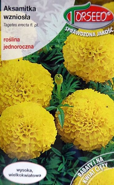 Samtenes augstās citrona - dzeltenas 1 g Torseed