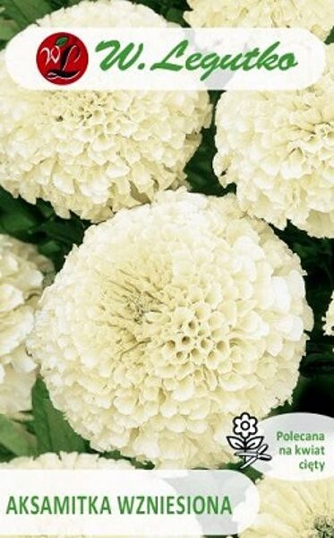 Samtenes lielziedu baltas 0.3 g W.Legutko