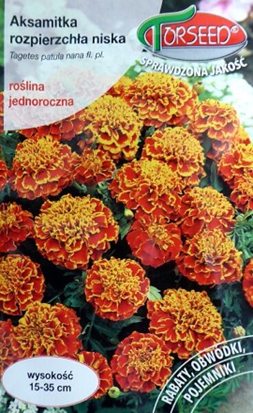 Samtenes zemās Bolero 1 g Torseed