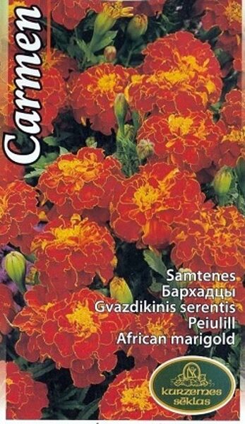 Samtenes zemās Carmen 1 g Kurzemes Sēklas