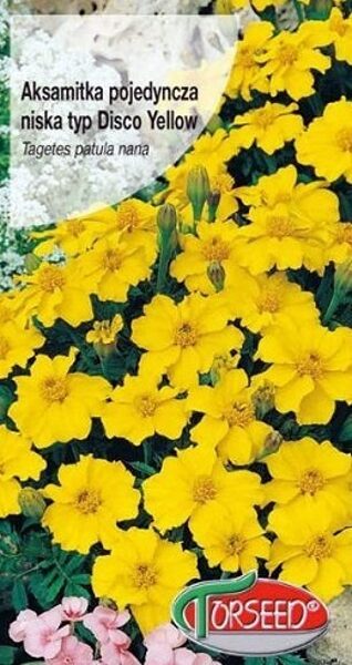 Samtenes zemās Disco Yellow 1 g Torseed