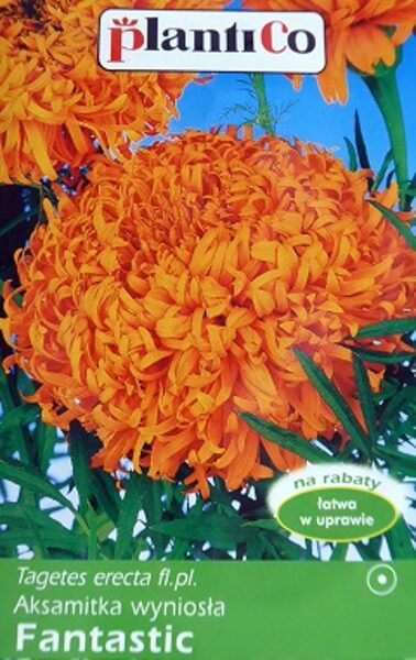 Samtenes lielziedu augstās FANTASTIC oranžas 0.5 g PlantiCo