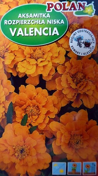 Samtenes zemās Valencia 1 g Polan