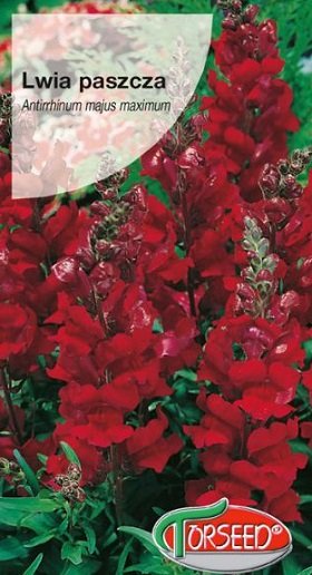 Lielās lauvmutītes sarkana Ceglaste 1 g Torseed