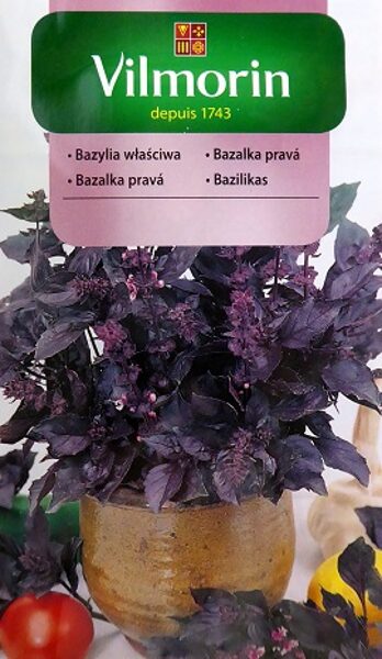 Sarkanlapu baziliks 500 mg Vilmorin (S)