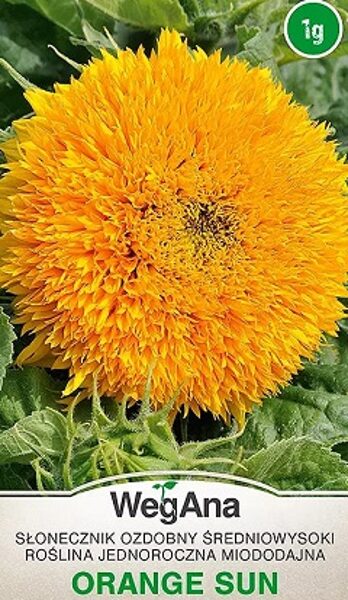 Saulespuķes augstās pildītas ORANGE SUN 1 g WegAna